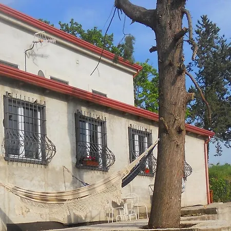 Gelsomino